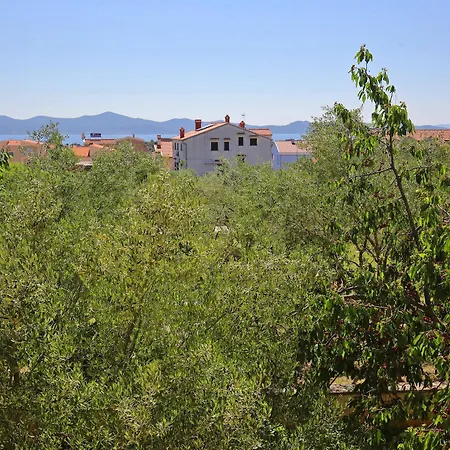 Villa Zubcic Zadar Exterior foto