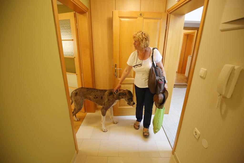 Apartment Zubcic